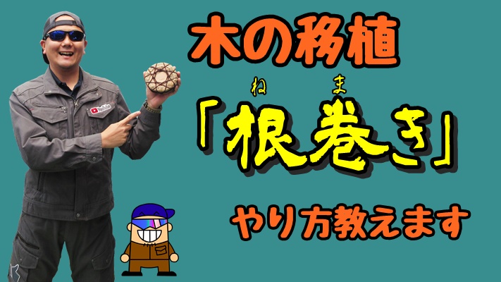 木の移植作業に欠かせない 根巻き のやり方 ひとり親方のブログ