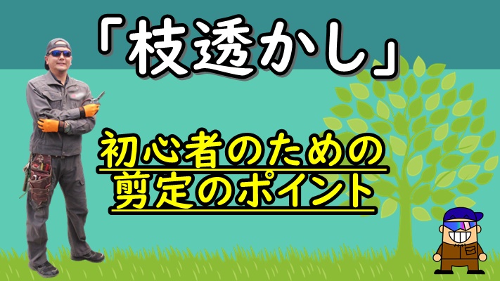 剪定方法 木を透かし剪定してみよう 初心者のための解説 ひとり親方のブログ